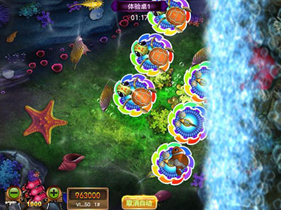正版星力十代海王